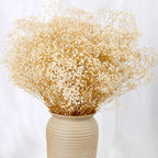 baby's breath flower
