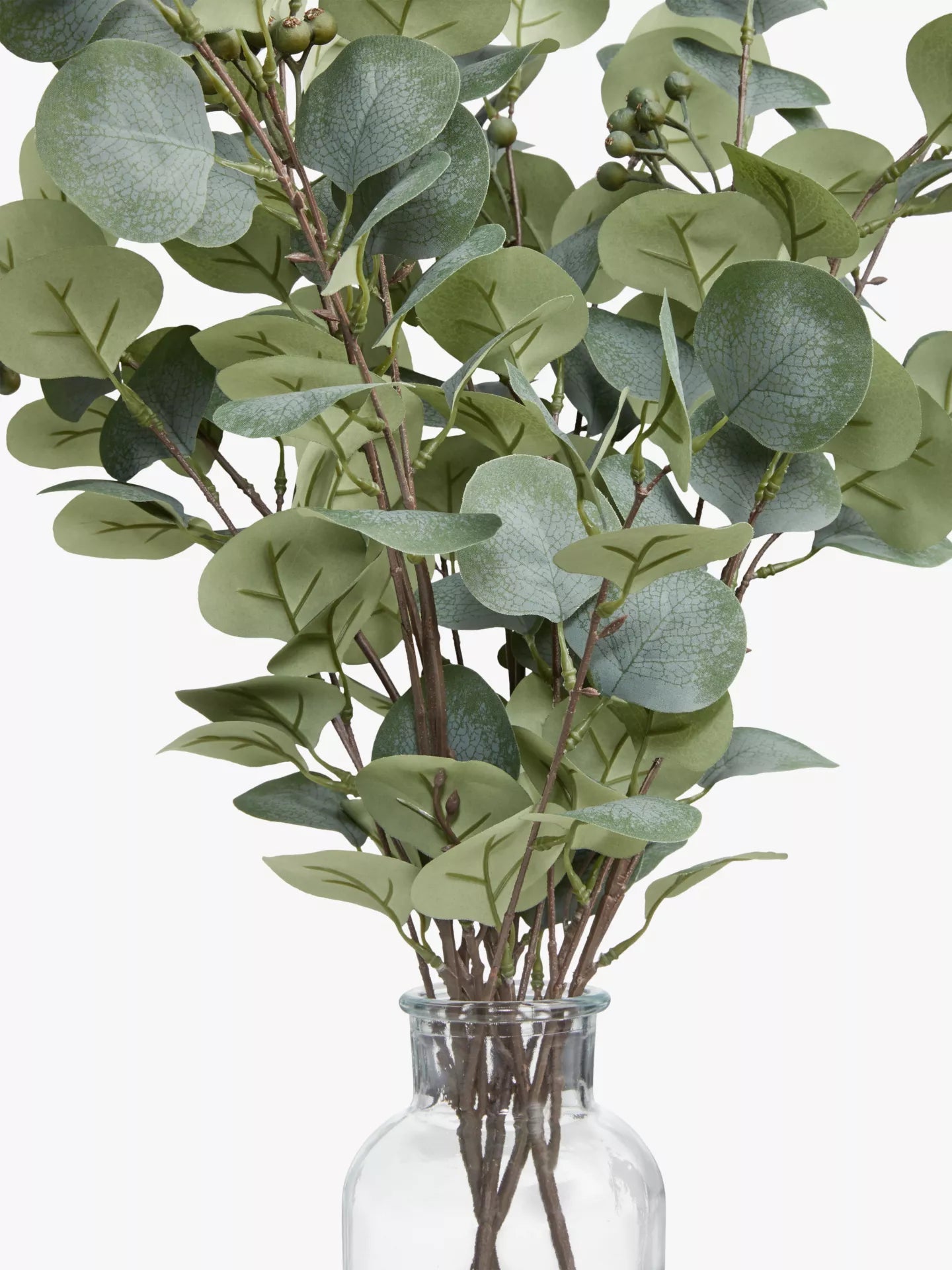 artificial eucalyptus