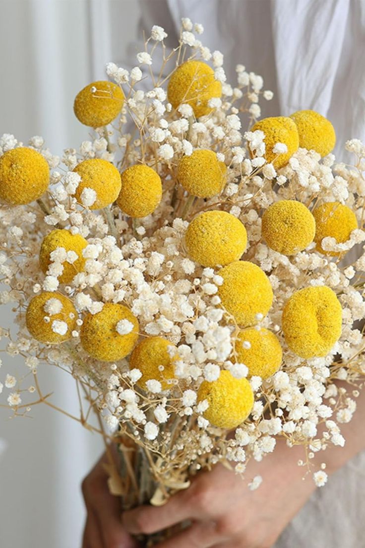 Yellow Balls Flowers