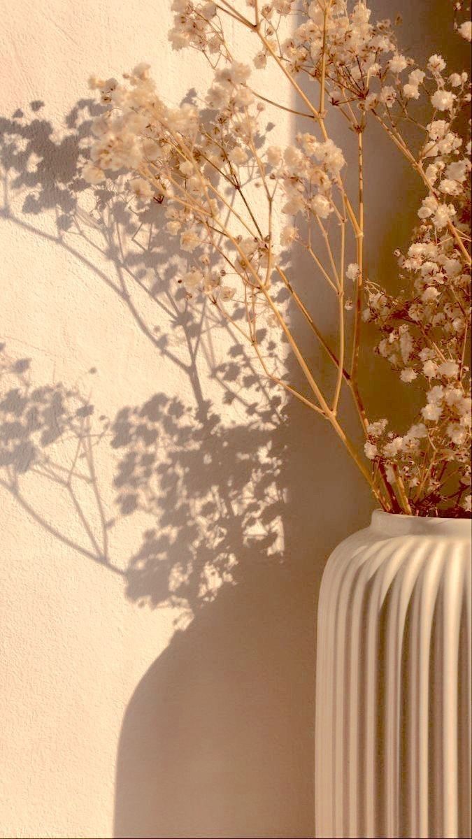 baby's breath flower
