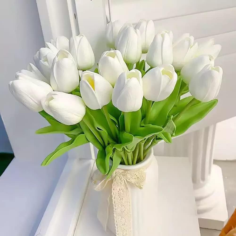 Tulip Flowers