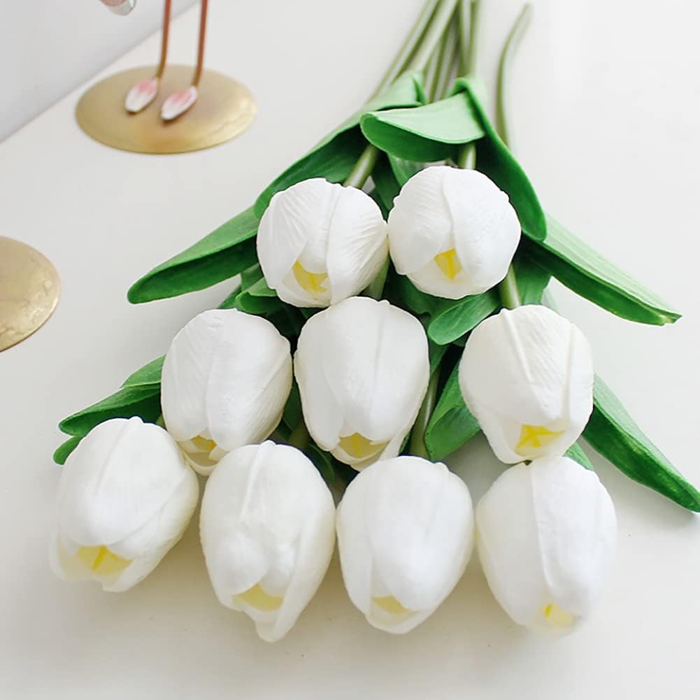 Tulip Flowers