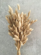 Bunny Tails | Rabbit Tails