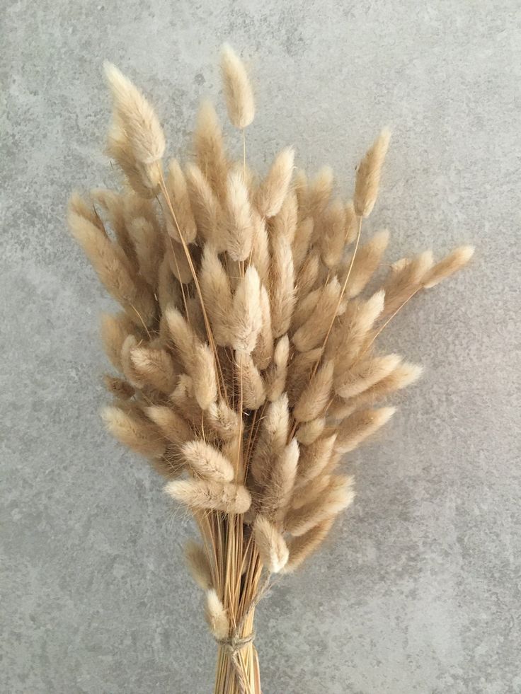 Bunny Tails | Rabbit Tails