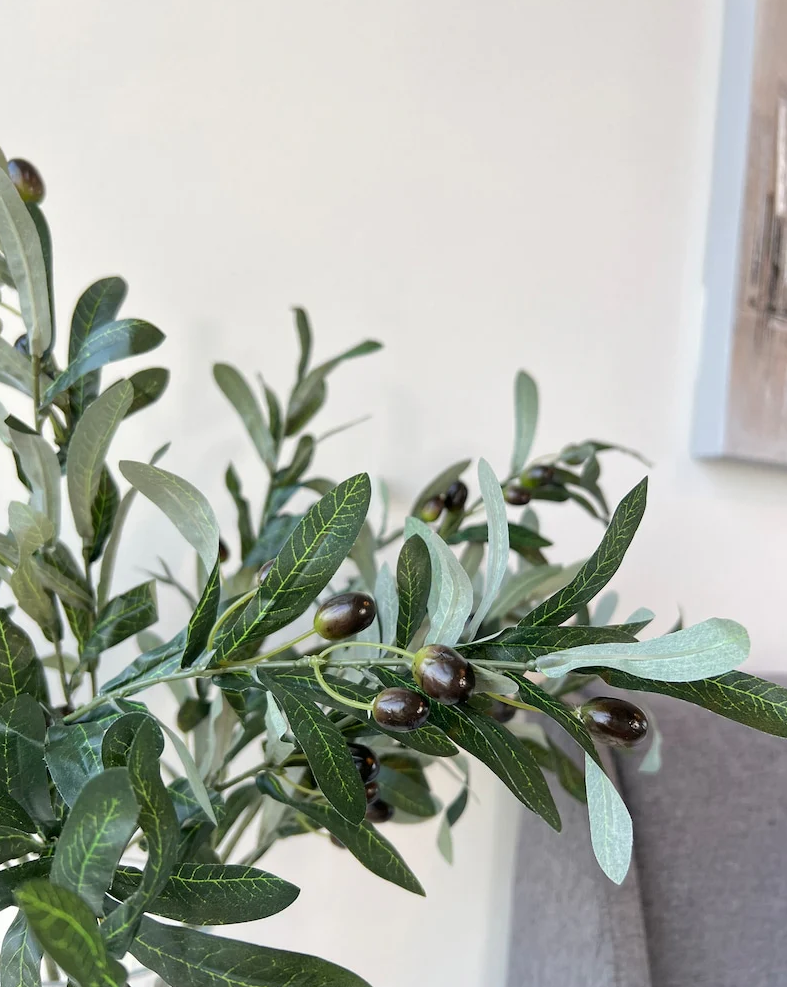 Silcon Olive