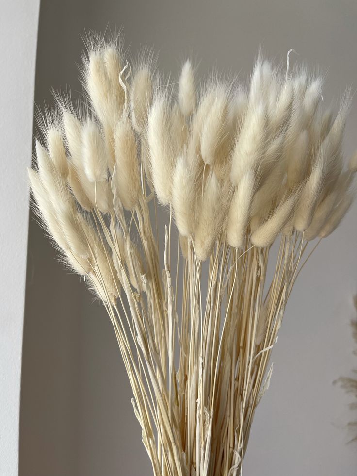 Bunny Tails | Rabbit Tails
