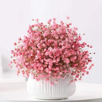 baby's breath flower
