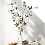 Cotton Flora Dried flowers