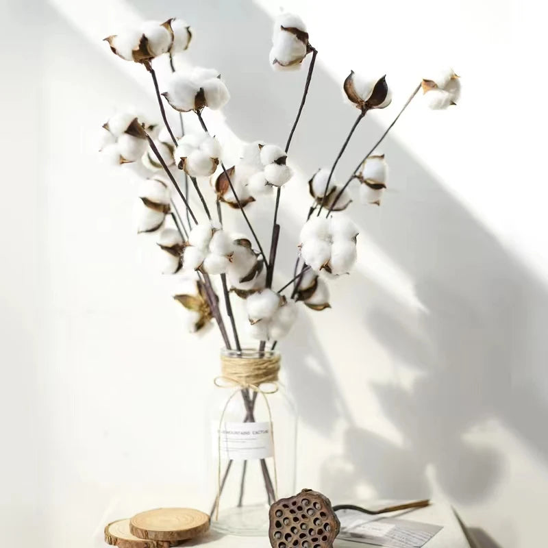 Cotton Flora Dried flowers