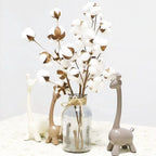 Cotton Flora Dried flowers