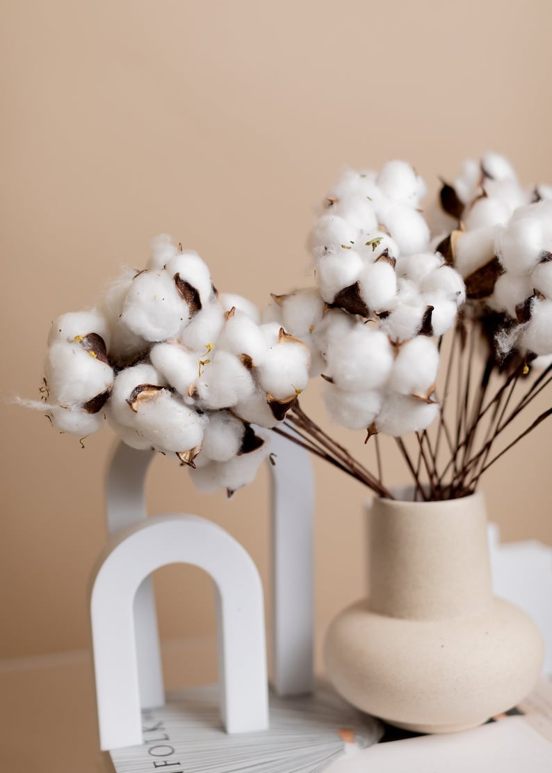 Cotton Flora Dried flowers