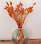 Dried Phalaris Bunchs
